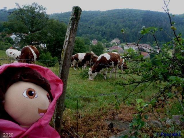 Saint-Bresson Gite Rural Les Maires D'Avaux מראה חיצוני תמונה