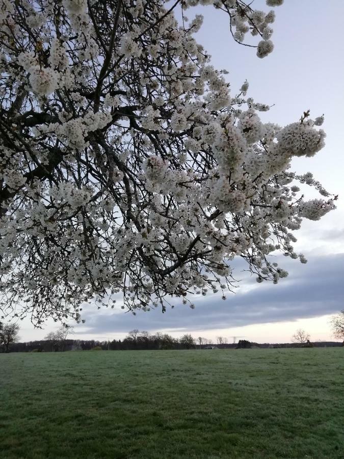 Saint-Bresson Gite Rural Les Maires D'Avaux מראה חיצוני תמונה
